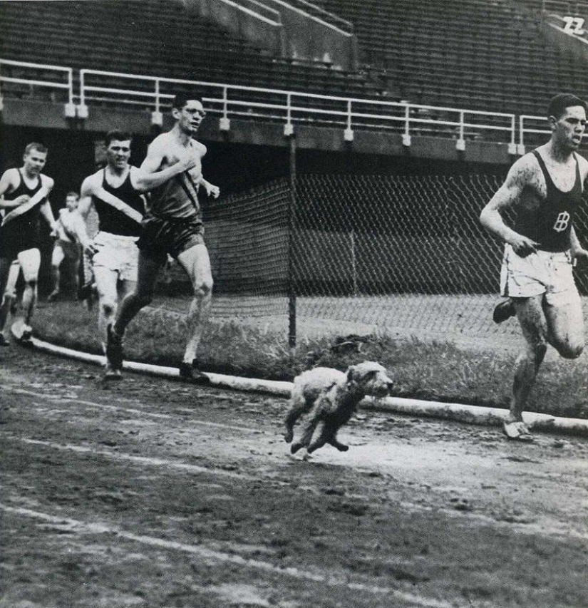 20 historical frames caught at the right moment 20 historical frames caught at the right moment