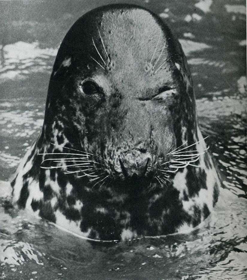 20 histórica fotogramas capturados en el momento justo 20 histórica fotogramas capturados en el momento justo