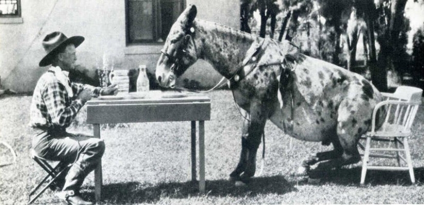 20 histórica fotogramas capturados en el momento justo 20 histórica fotogramas capturados en el momento justo