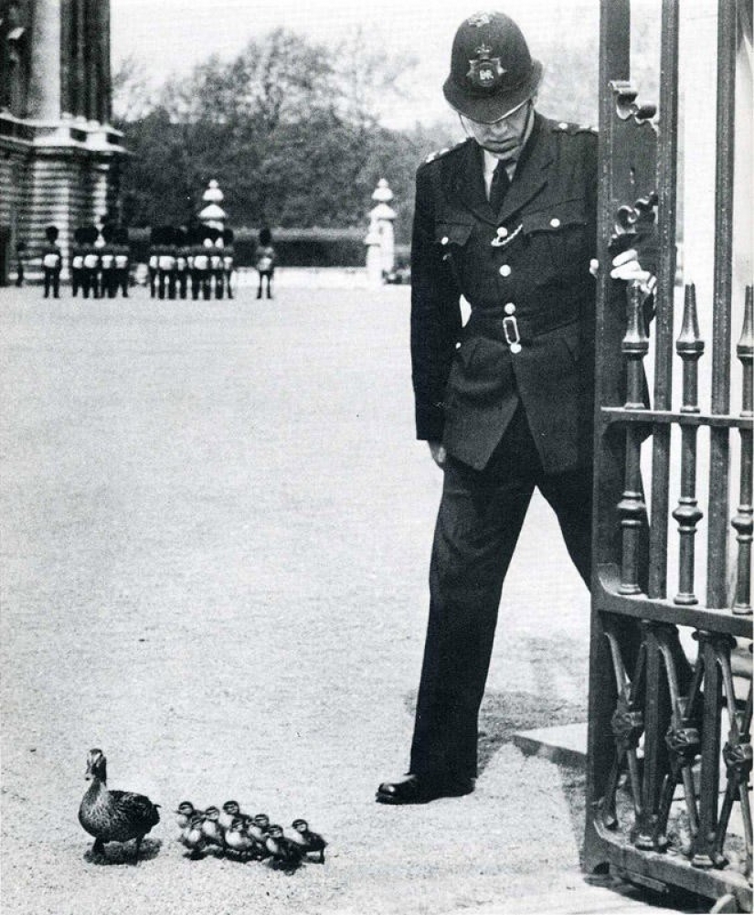 20 histórica fotogramas capturados en el momento justo 20 histórica fotogramas capturados en el momento justo