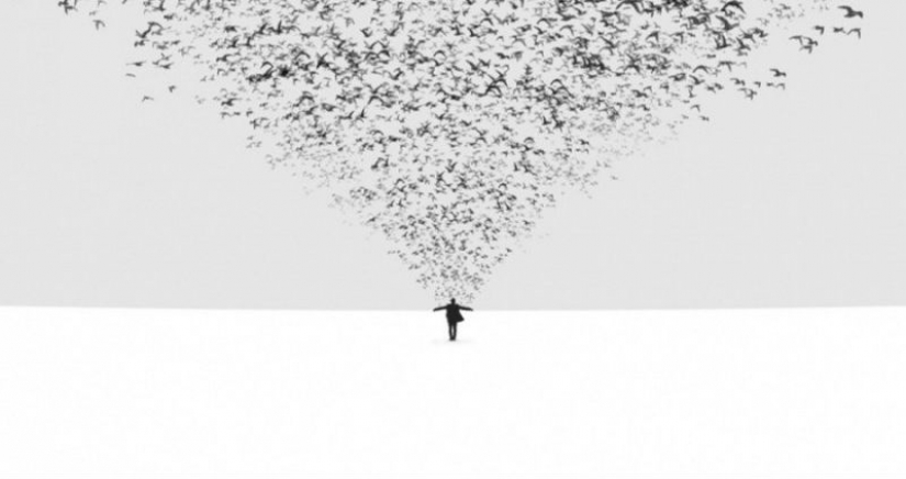 20 imágenes, que no hay nada superfluo