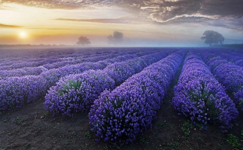 20 lugares donde no estamos