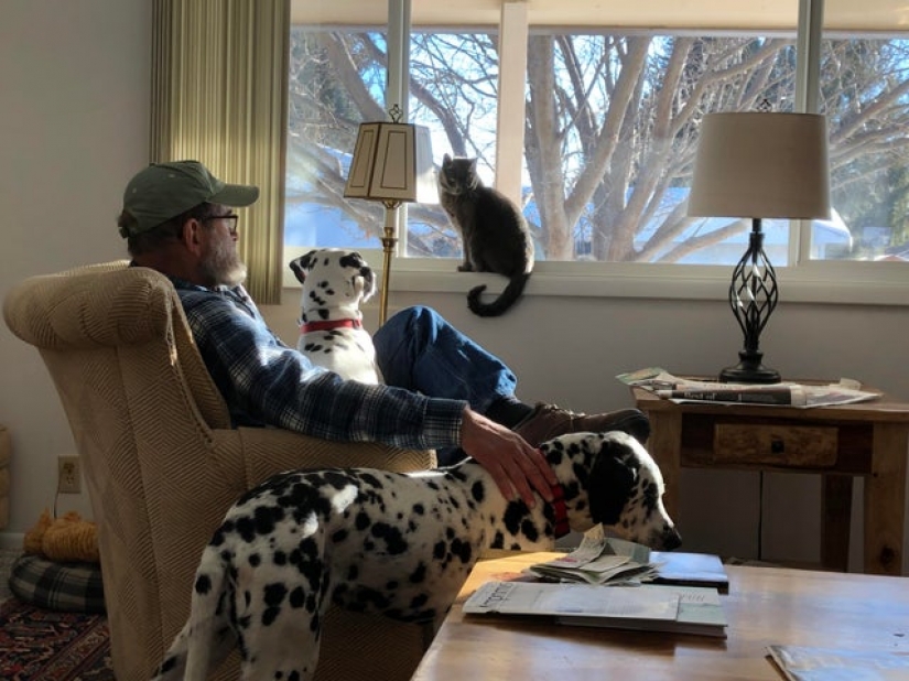 20 lugares que usted no se niegan a pasar la cuarentena