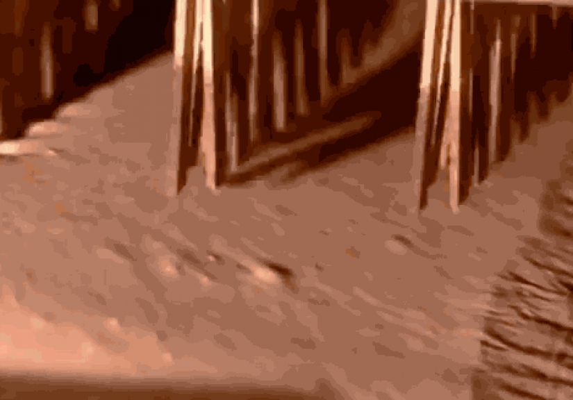 20 now repetitive and boring hypnotizing gifs about the production process