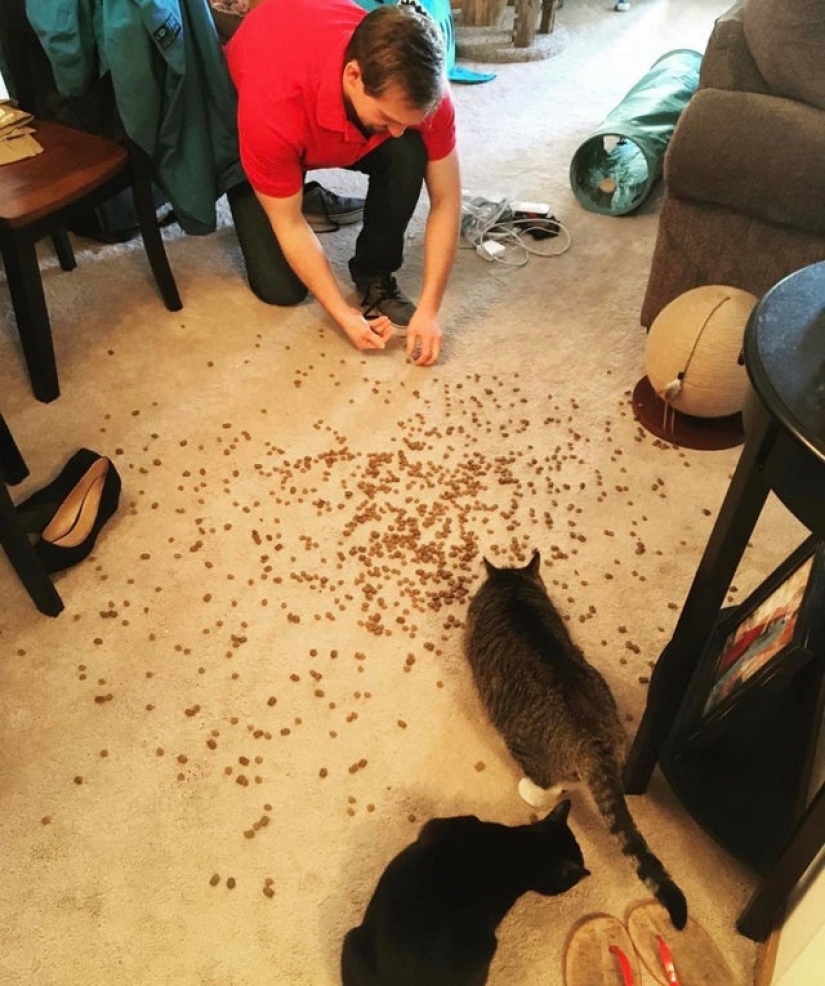 20 people shared their biggest fails on quarantine