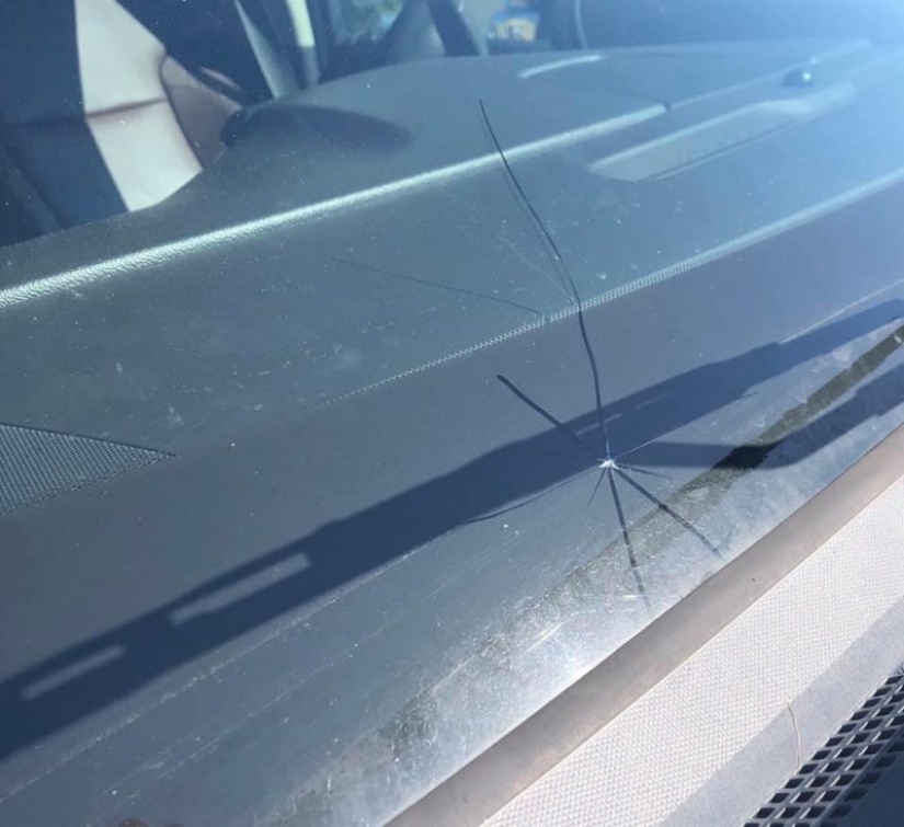 20 people shared their biggest fails on quarantine