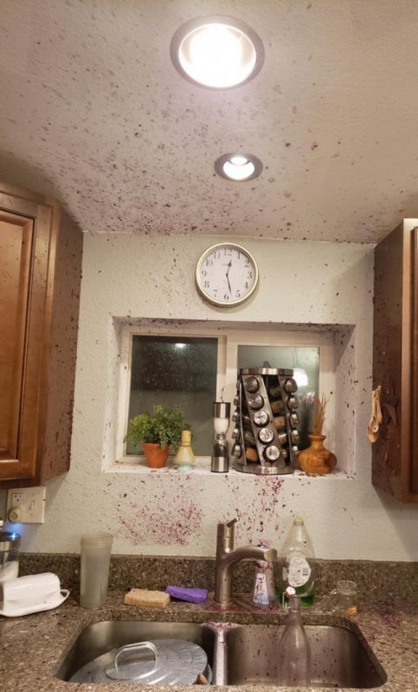 20 people shared their biggest fails on quarantine