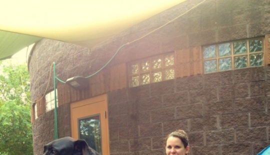 20 perros grandes que no tienen idea de lo enorme que