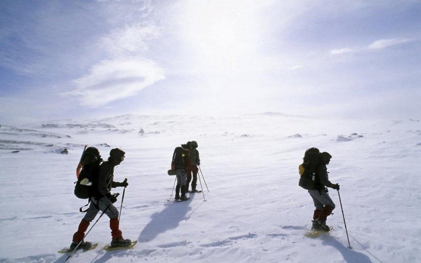 20 places where rare animals 20 places where rare animals