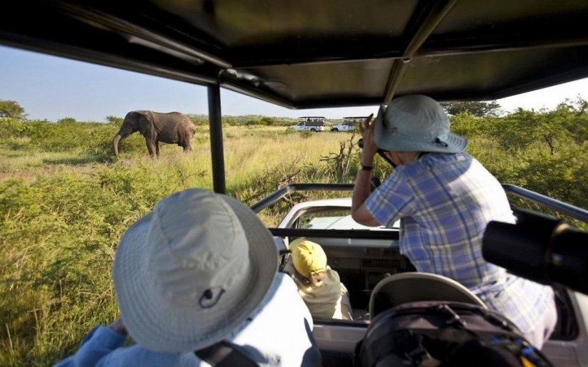 20 places where rare animals 20 places where rare animals