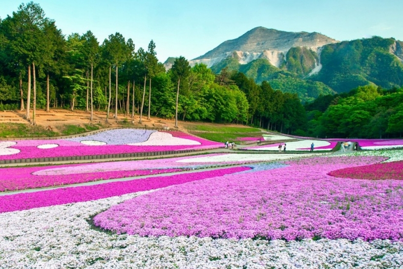 20 places where the world is ruled by color