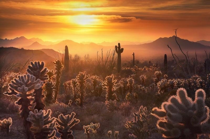 20 places where we are not 20 places where we are not