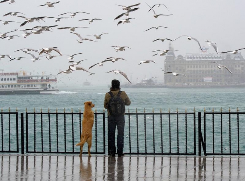 20 places where we are not 20 places where we are not