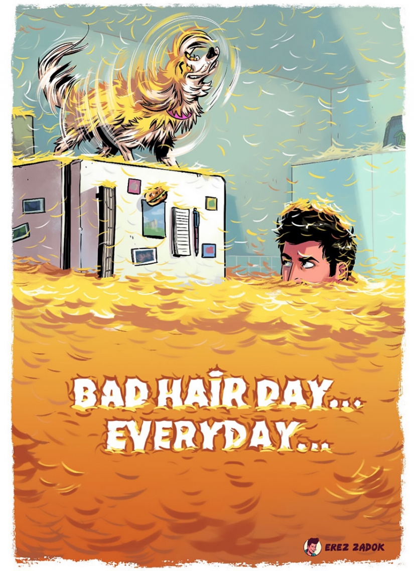 20 situaciones perfectamente familiar para que cada dueño del perro (grosero)