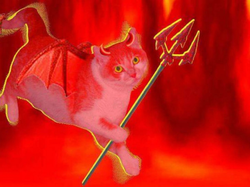 20 so absurd historical facts, that they seem true