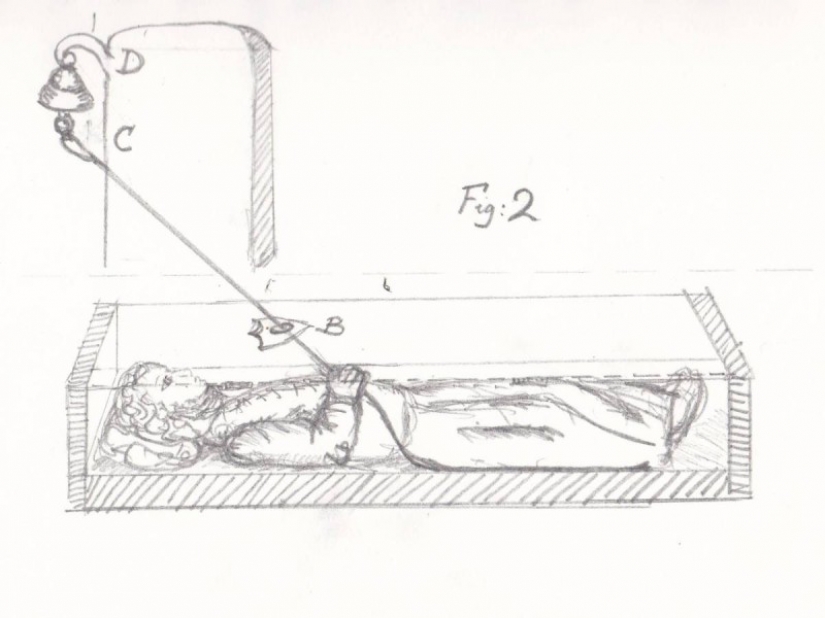 20 so absurd historical facts, that they seem true