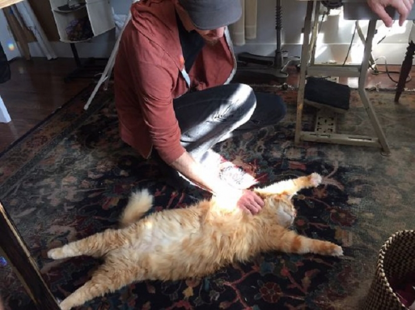 20 vientres que necesitan cero