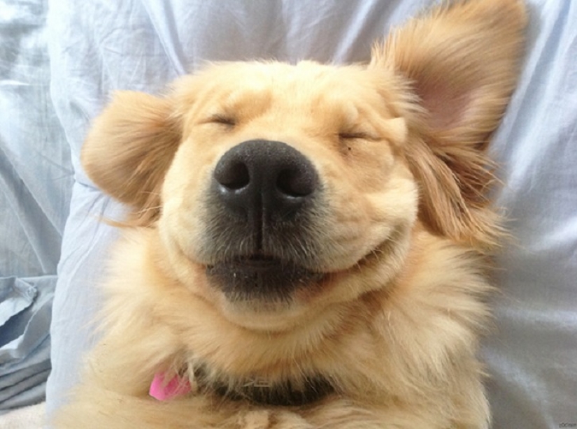 20 vientres que necesitan cero