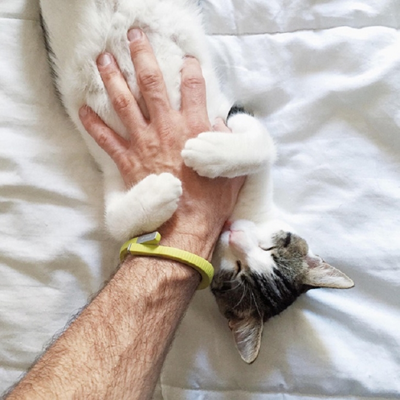 20 vientres que necesitan cero