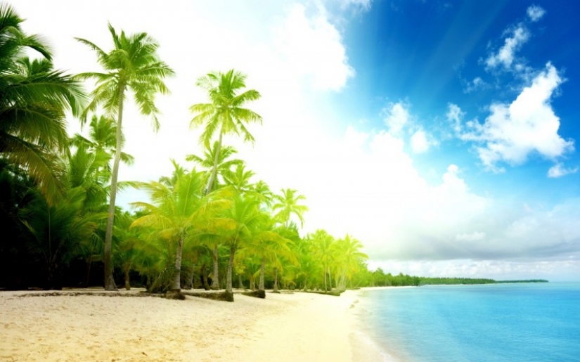 22 awesome white sand beach 22 awesome white sand beach