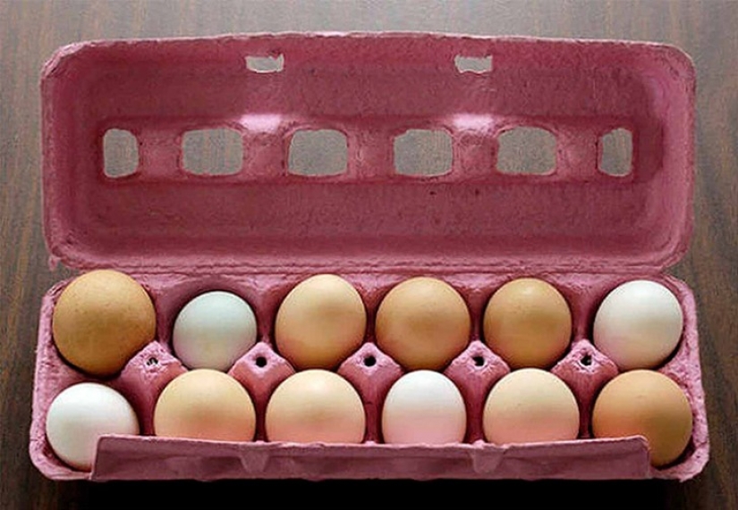 23 crafty kitchen hack, which does not even know your mother