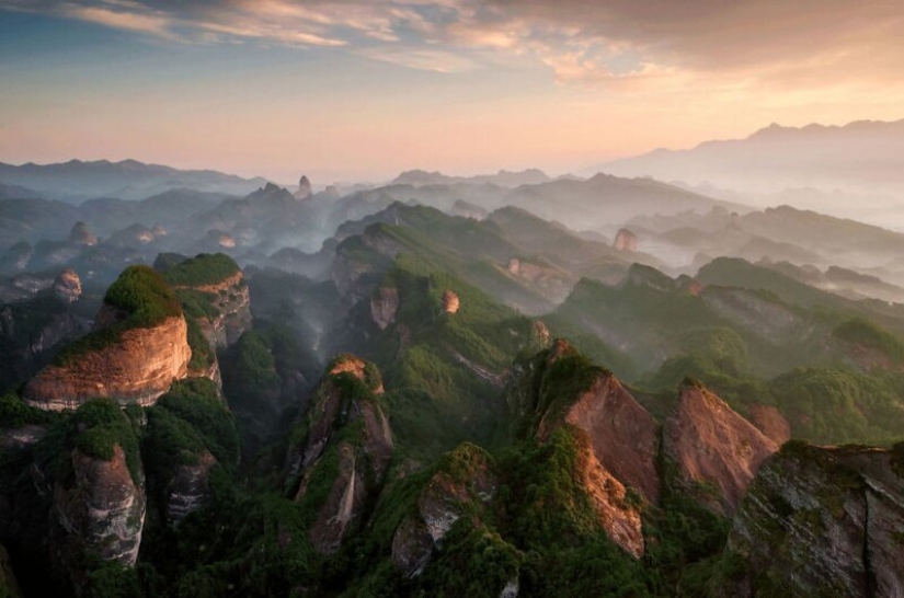 24 incredible photos of wildlife from the winners of the competition BigPicture Natural World