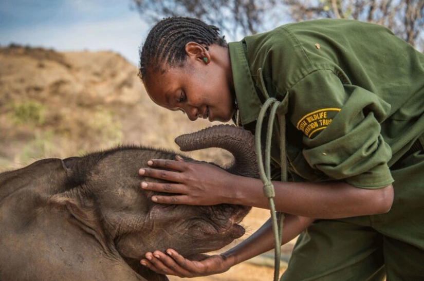 24 incredible photos of wildlife from the winners of the competition BigPicture Natural World