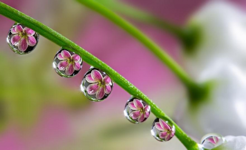 24 reflexiones increíble