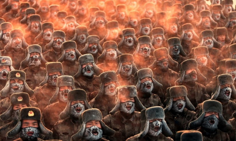 25 amazing photo, where there is not an ounce of photoshop