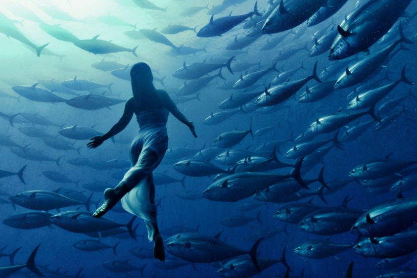 25 amazing photo, where there is not an ounce of photoshop