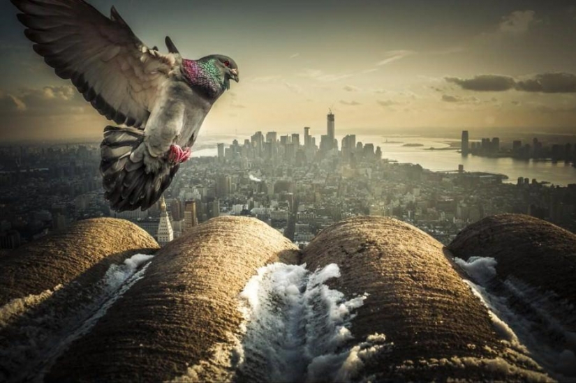 25 cities that have to visit each