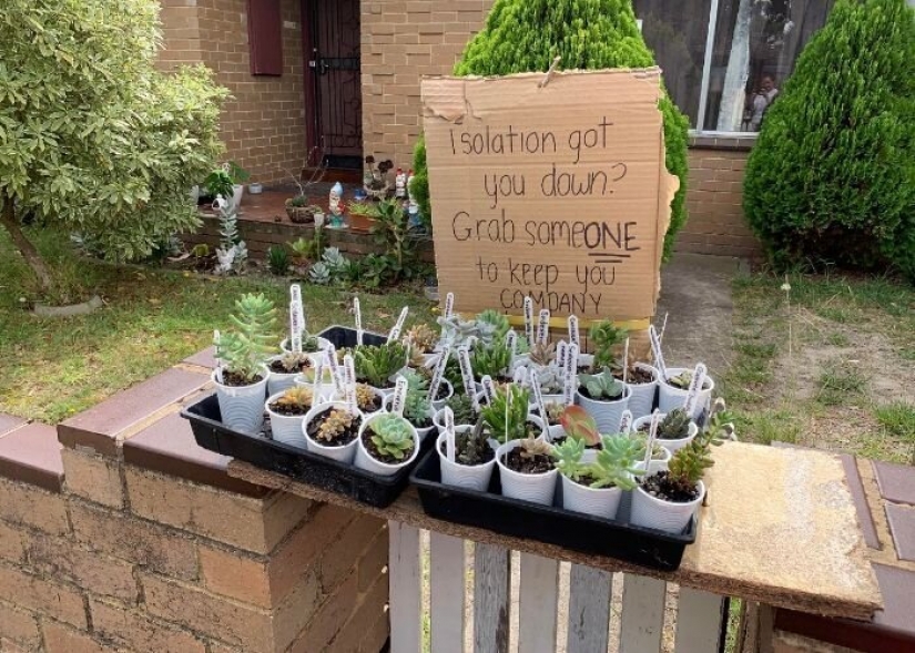 25 evidence that the world is not deprived of kindness in a pandemic 25 evidence that the world is not deprived of kindness in a pandemic