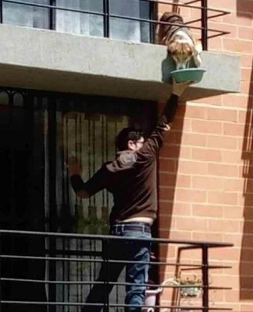 25 evidence that the world is not deprived of kindness in a pandemic 25 evidence that the world is not deprived of kindness in a pandemic