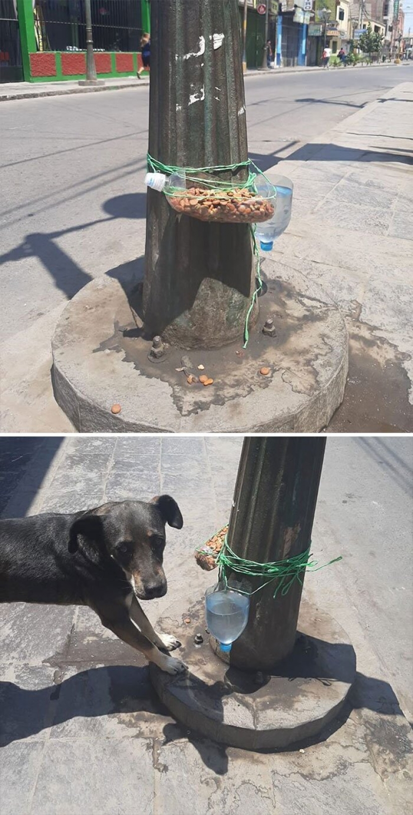 25 evidencia de que el mundo no se priva de bondad en una pandemia 25 evidencia de que el mundo no se priva de bondad en una pandemia