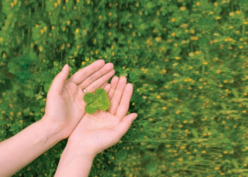 25 gifs about incredible luck