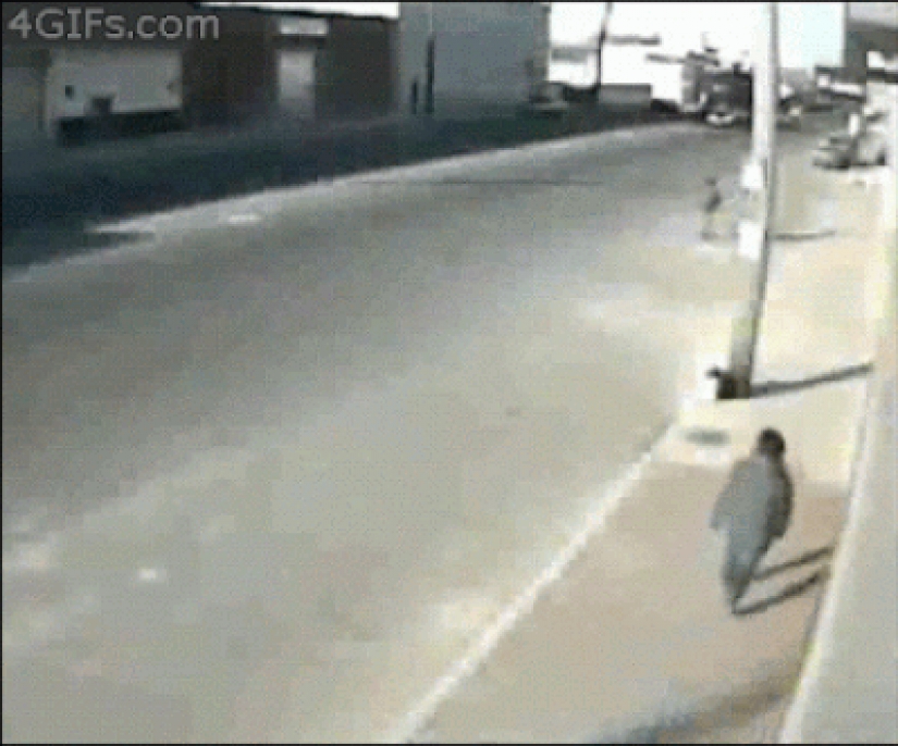 25 gifs about incredible luck