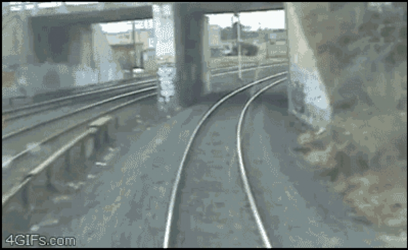 25 gifs about incredible luck