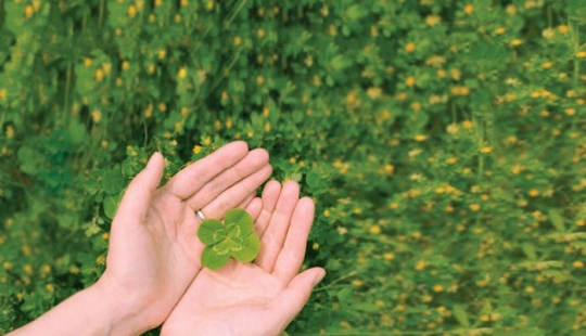 25 gifs acerca de la increíble suerte