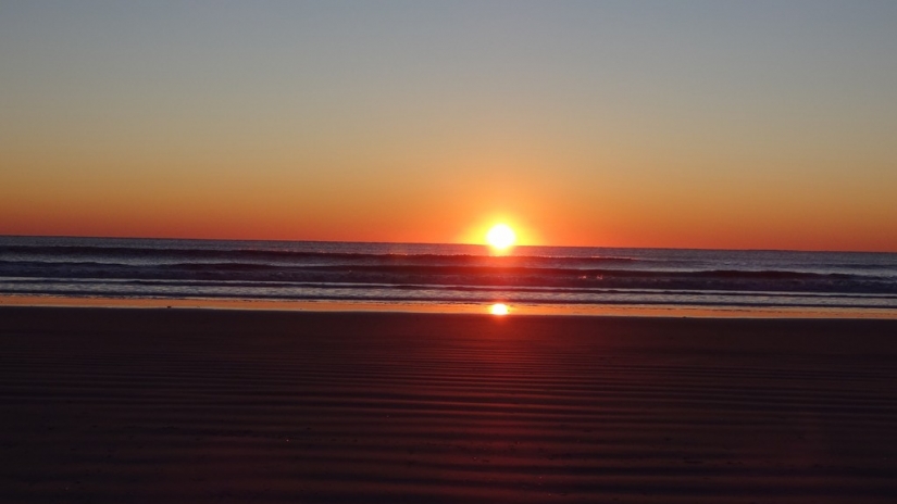 25 la mayoría de las cosas bizarras que se venden en eBay