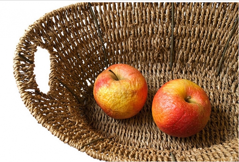 26 consejos sobre cómo mejor tienda de alimentos