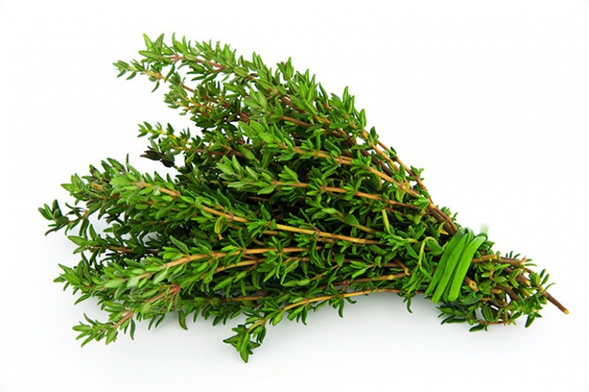 26 tips on how to best store food