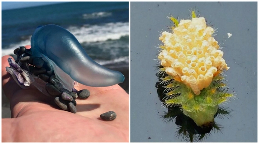 30 bewildered people who found the Internet for the answer to your question