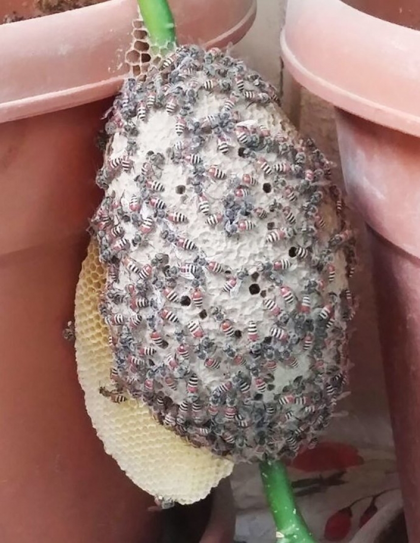 30 bewildered people who found the Internet for the answer to your question