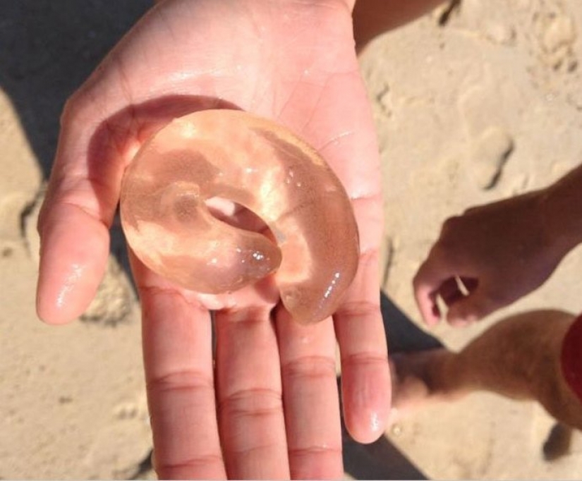 30 bewildered people who found the Internet for the answer to your question