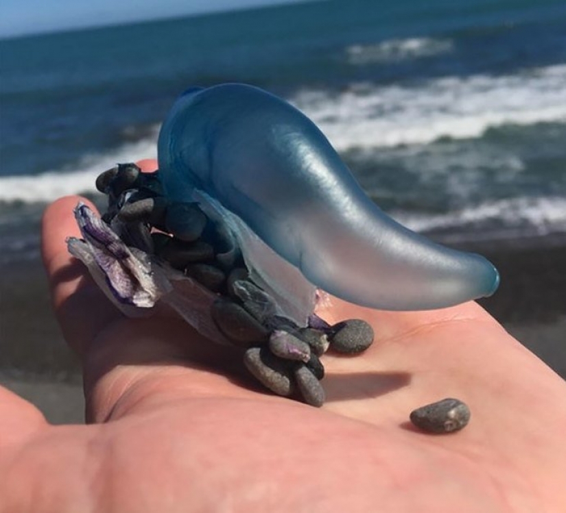 30 bewildered people who found the Internet for the answer to your question