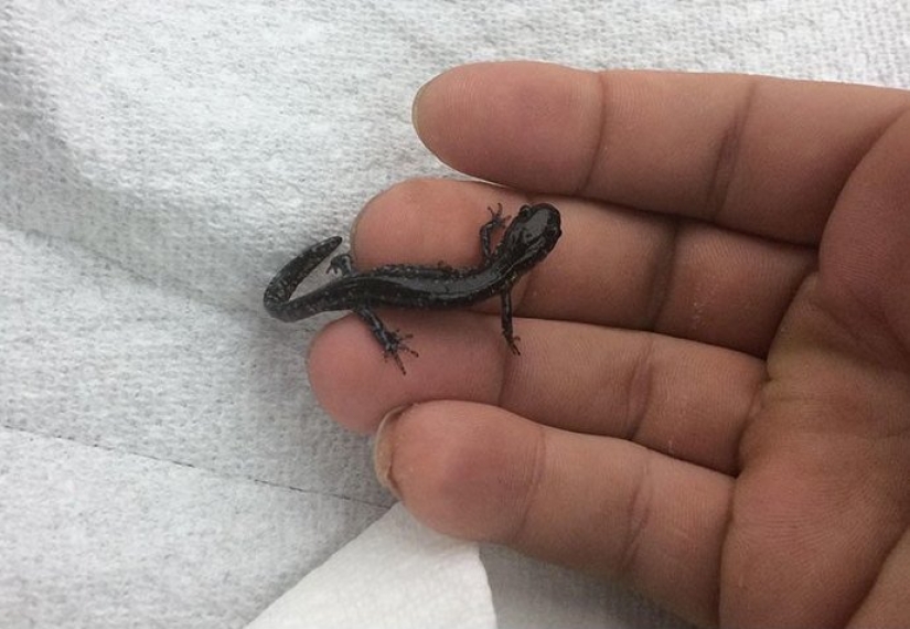 30 bewildered people who found the Internet for the answer to your question