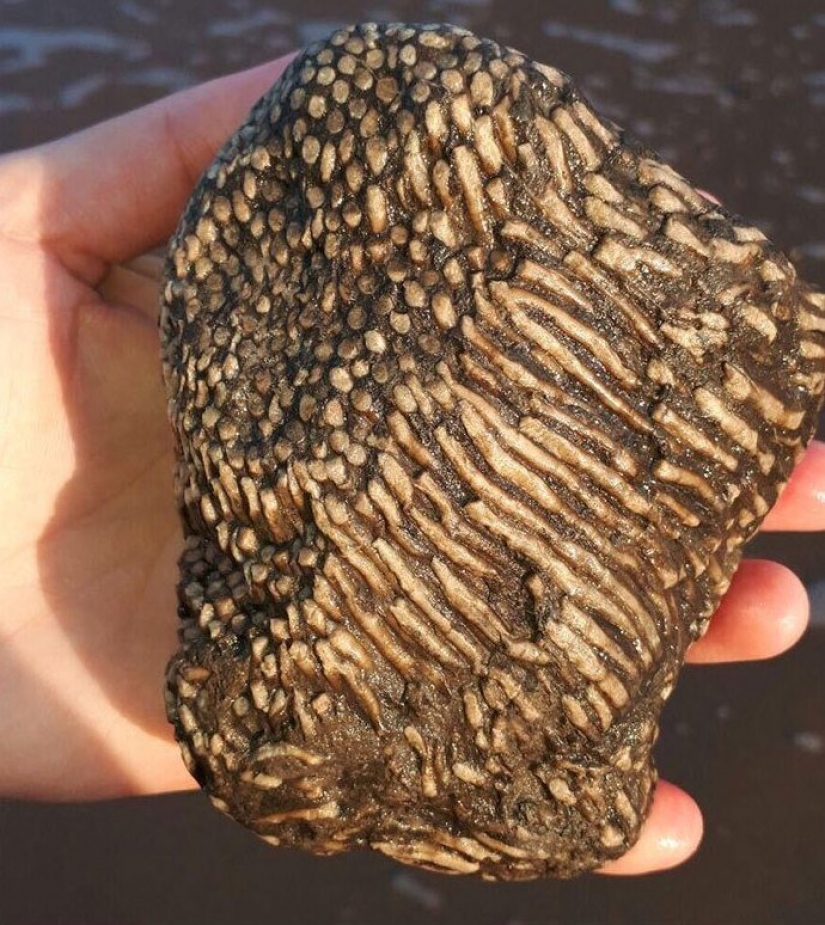 30 bewildered people who found the Internet for the answer to your question