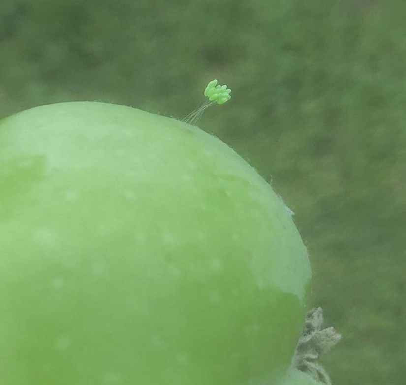 30 bewildered people who found the Internet for the answer to your question