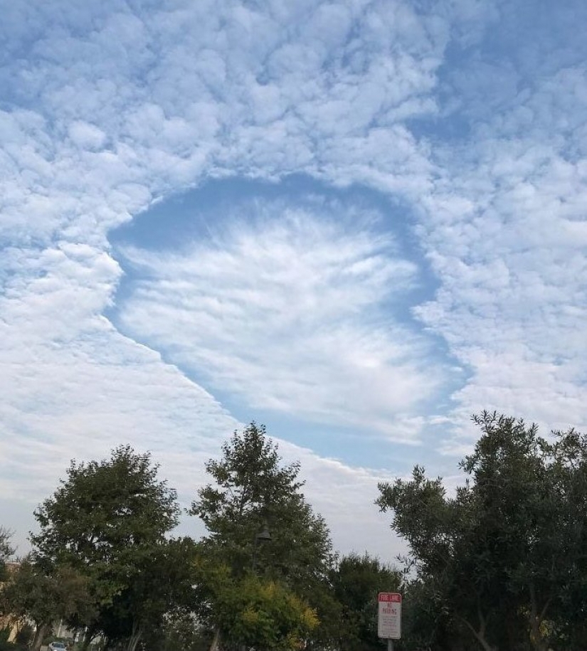 30 bewildered people who found the Internet for the answer to your question