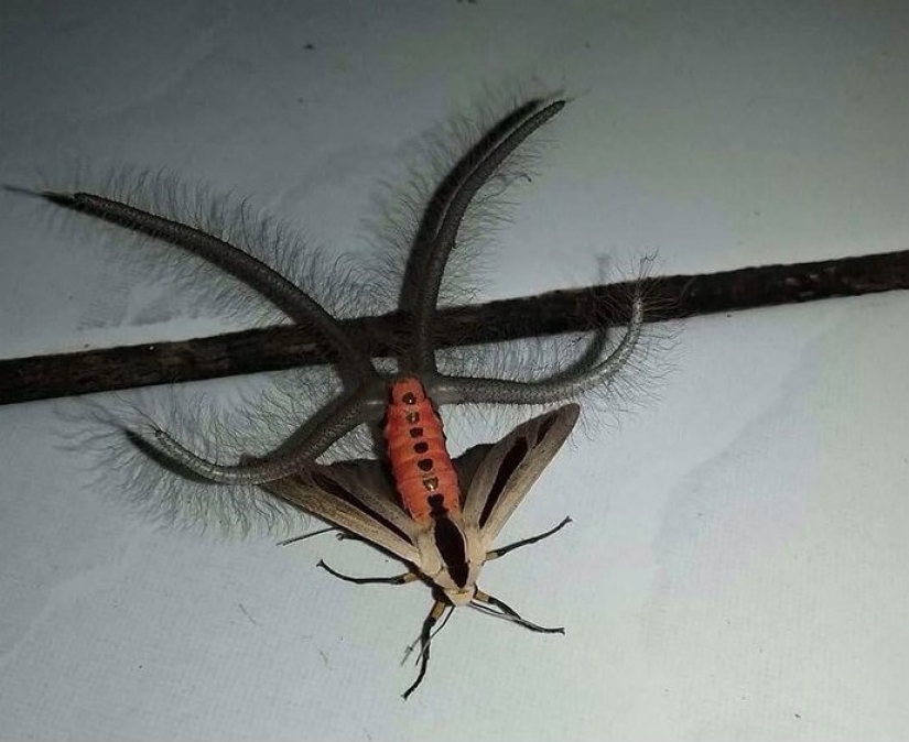 30 bewildered people who found the Internet for the answer to your question